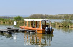Ein Holzboot mit zwei Motoren liegt an einem Steg auf einem ruhigen Gewässer, umgeben von grüner Vegetation.