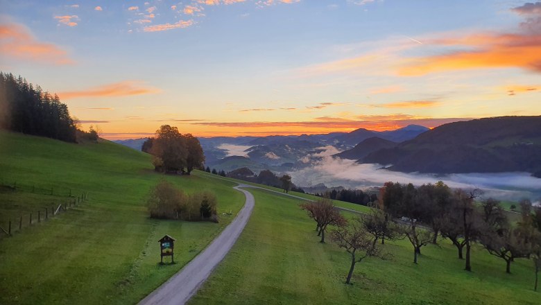 Morning mood, © Melanie Schweighuber