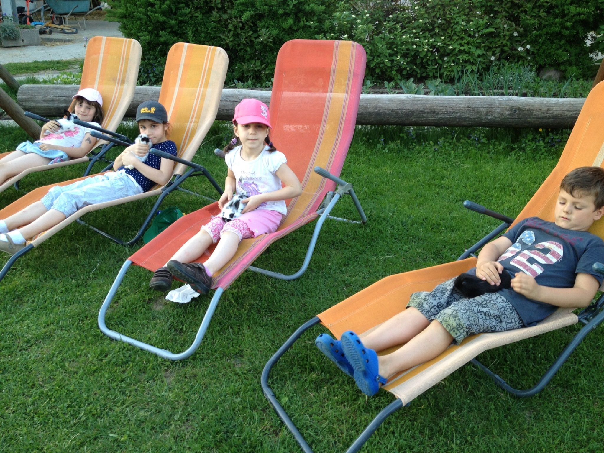 Vier Kinder liegen auf Liegestühlen im Garten und halten kleine Tiere.