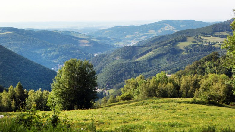 Panoramablick vom Muckenkogel auf grüne Hügel und Täler.
