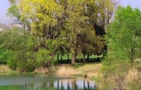 Na stezce Ennsdorfsk&eacute;ho žalmu, &copy; Prinz Anton vom katholischen Bildungswerk der Pfarre Enns - St.Marien