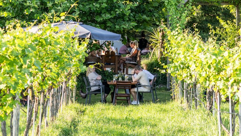 Sitzen im Weingarten