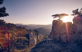 Fr&uuml;hling im Wienerwald, &copy; Andreas Hofer