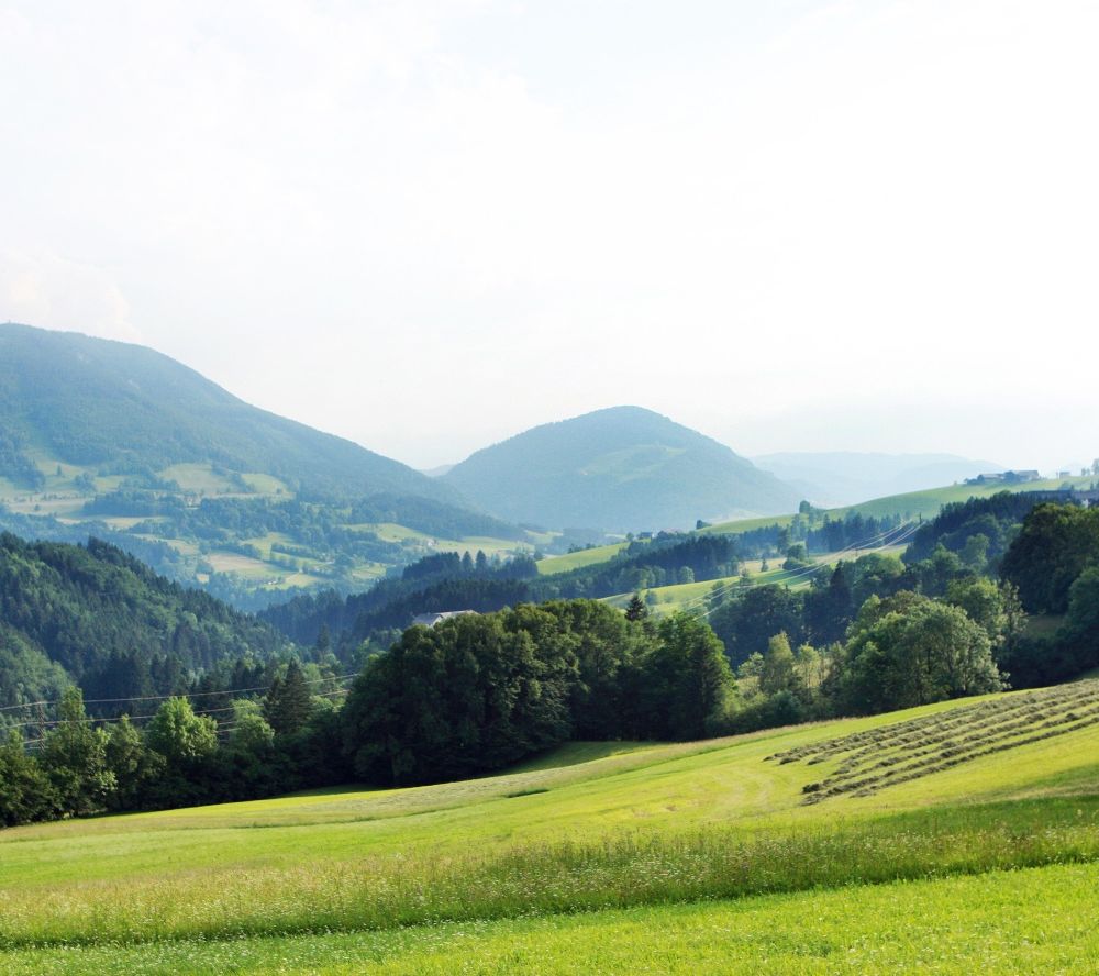 Panorama-Ausblicke rund um Ybbsitz