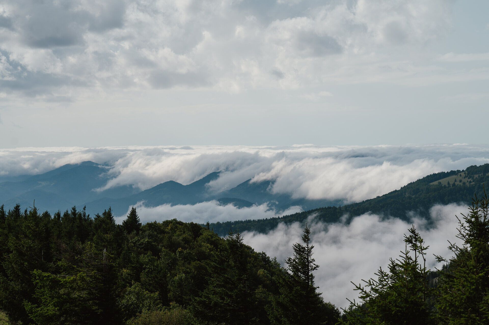 Konzert von Maola am 13. September 2025 auf der Reisalpe.
Am Gipfel der Reisalpe erleben Besucherinnen und Besucher ein stimmungsvolles Konzert mit Blick über die Ybbstaler Alpen.