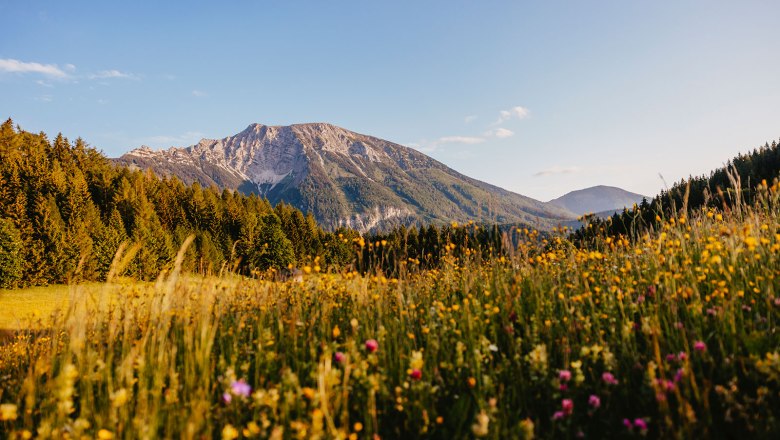 Nestelberg 17, &copy; Sabine Wieser