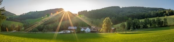 Courtyard view from the edge of the forest, © Einkehrhof Poggau