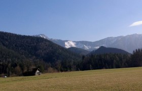 Scheiklh&ouml;he_Rundweg_6_Stengelloser Enzian, &copy; Nordisches Zentrum St. Aegyd