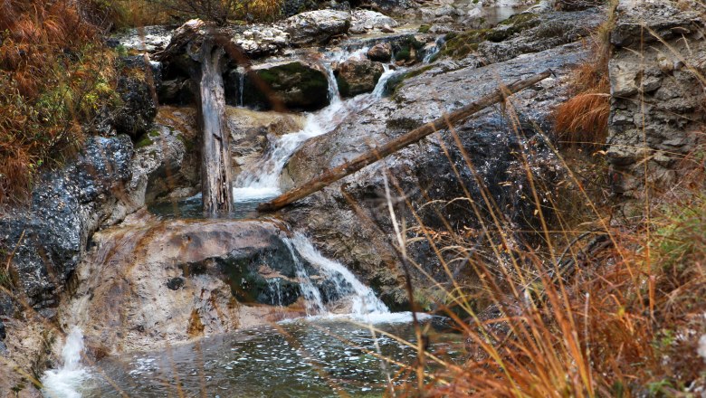 Kleiner Wasserfall im Wildnisgebiet D&uuml;rrenstein mit Felsen und herbstlicher Vegetation.