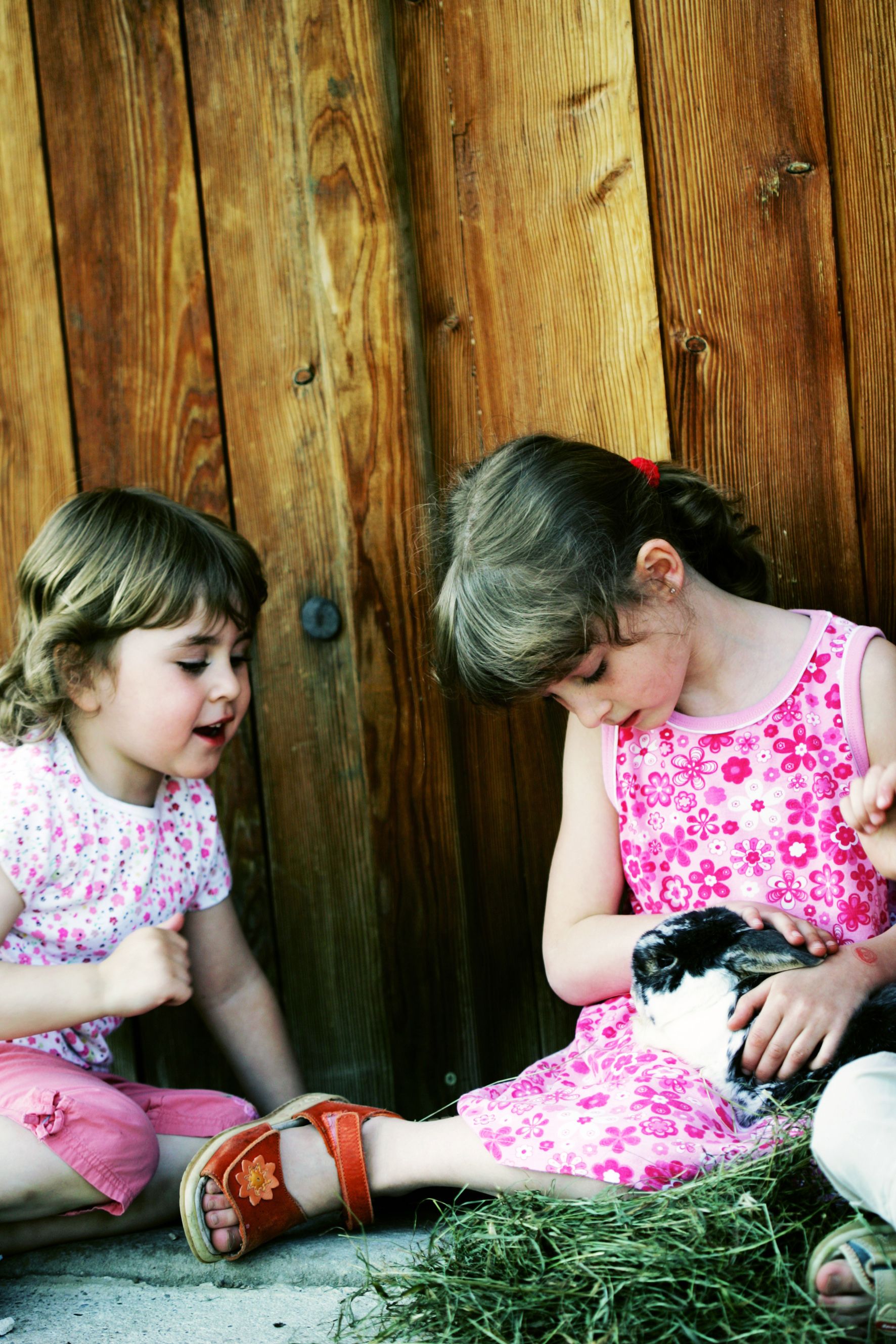 Zwei Kinder sitzen vor einer Holzwand und streicheln ein Kaninchen.