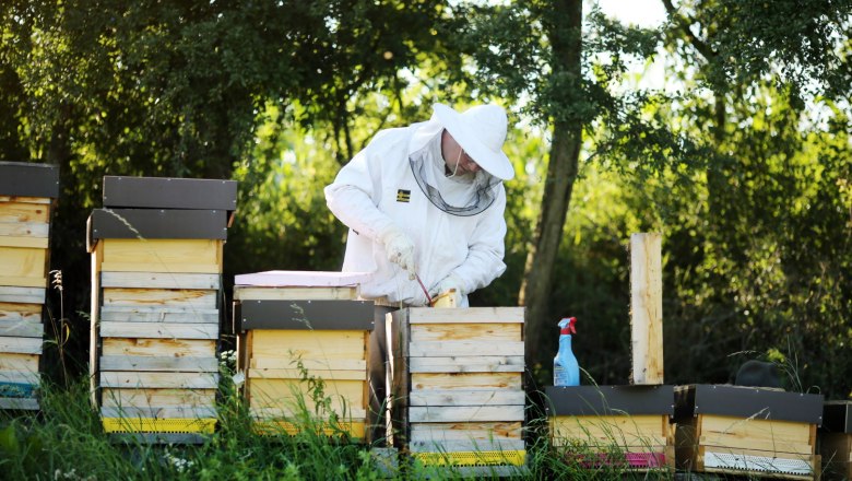 Bienenstöcke, © Weinfranz
