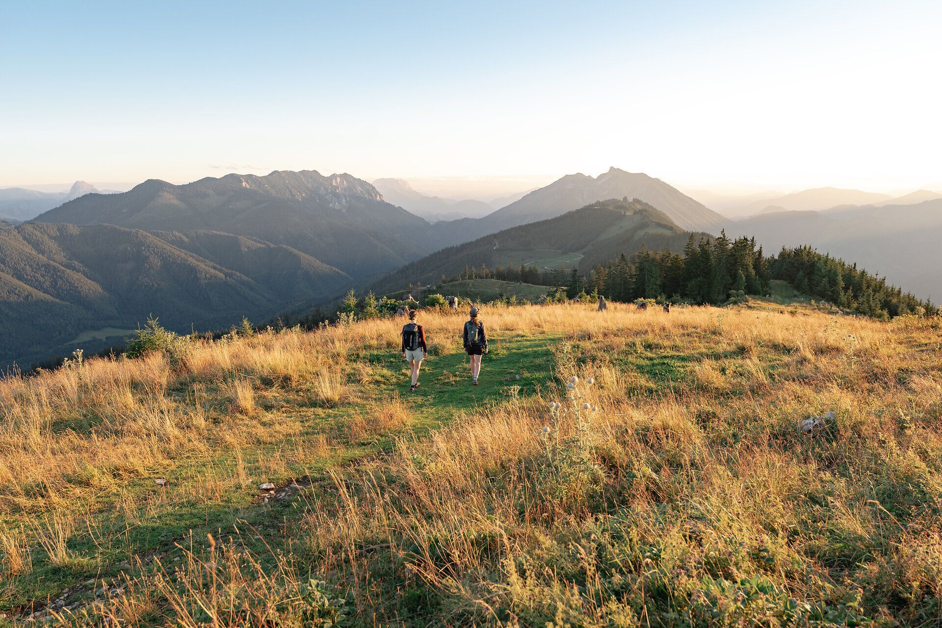 Die sanften Hügel der Ybbstaler Alpen laden zu unvergesslichen Wanderungen ein. Goldene Gräser wiegen sich im sanften Wind, während die majestätischen Berge im Hintergrund eine atemberaubende Kulisse bieten. Hier, wo Natur und Abenteuer aufeinandertreffen, wird jeder Schritt zum Erlebnis.