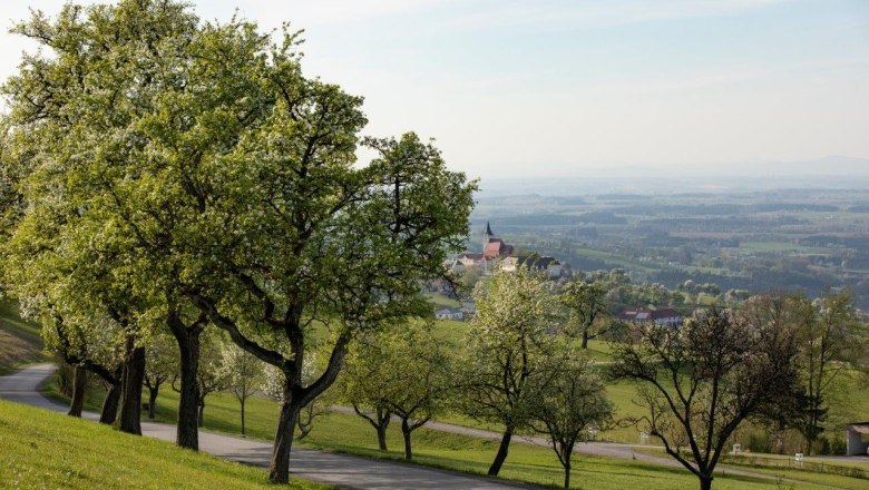 Photo point St. Michael am Bruckbach, &copy; schwarz-koenig.at