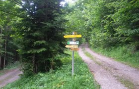 Fork between the Gmoa circuit and the Steingrabenkreuz circuit, &copy; TB Gaming