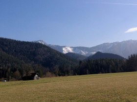 Scheiklh&ouml;he_Rundweg_6_Stengelloser Enzian, &copy; Nordisches Zentrum St. Aegyd