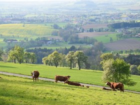 Ein sch&ouml;ner Ausblick, &copy; Marktgemeinde Seitenstetten