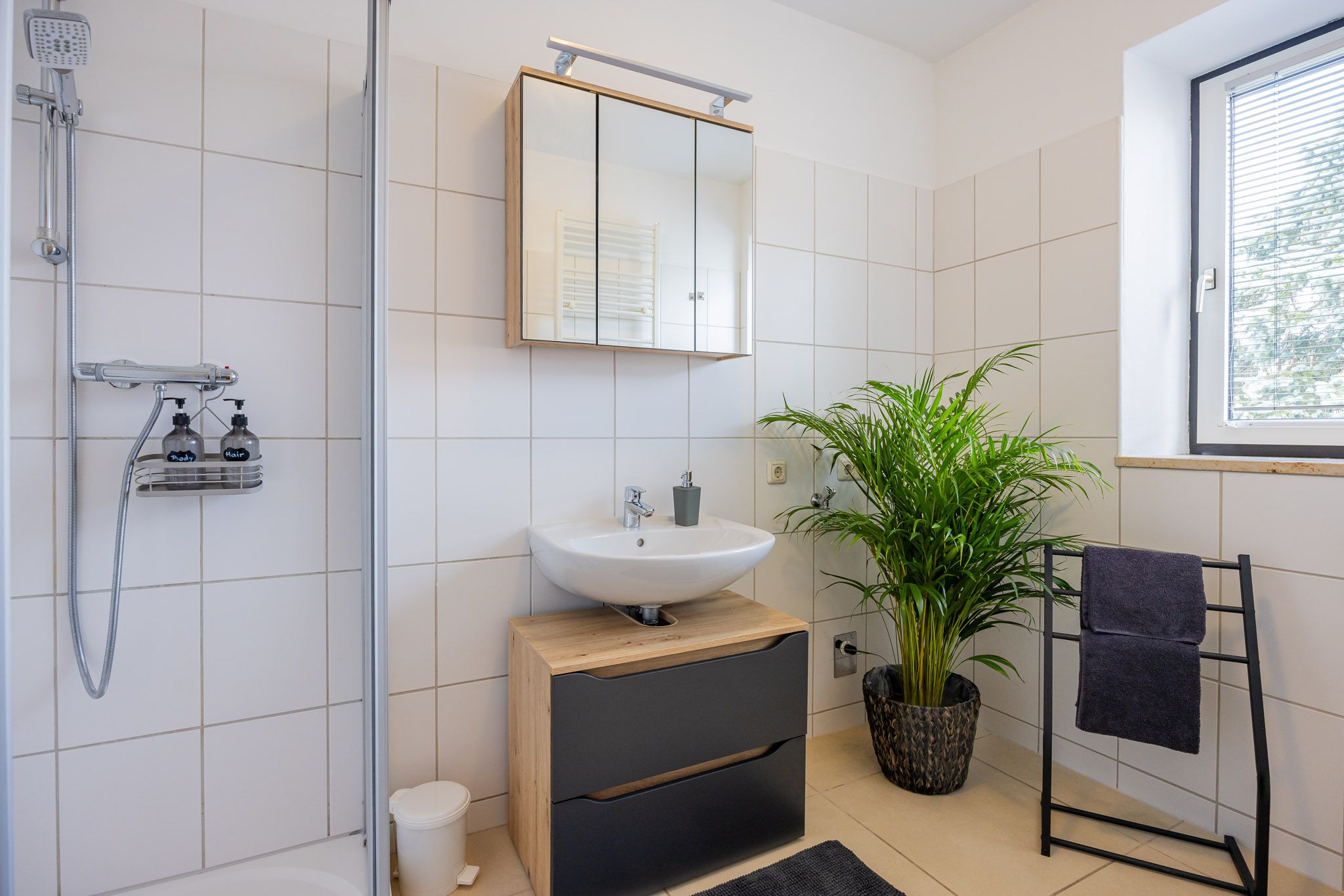 Modernes Badezimmer mit Dusche, Waschbecken, Spiegel und Pflanze.
