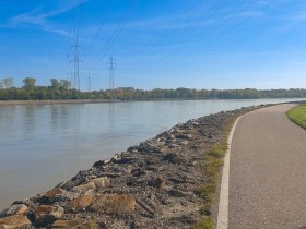 Donauradweg in Altenw&ouml;rth, &copy; Donau Nieder&ouml;sterreich - Kamptal-Wagram-Tullner Donauraum
