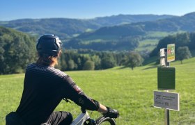 Wild service tree single trail, &copy; MTB-Initiative St.P&ouml;lten