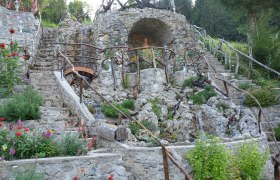 Leuchtwurzel, &copy; Herbert Adam