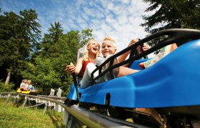 Two children laugh as they ride through a forest in a blue summer toboggan car.