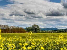Am Weg zur Hubertuskapelle, &copy; Str&auml;u&szlig;l-Str&auml;ussl Markus