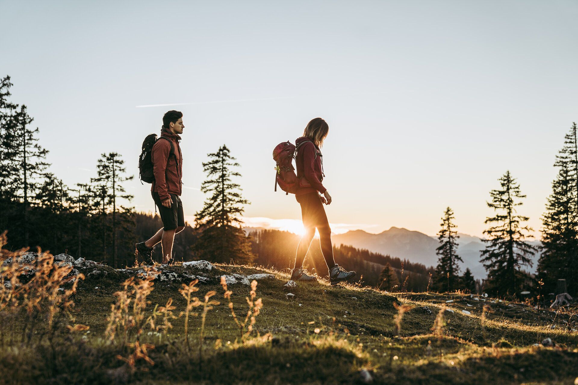 Zwei Wanderer genießen die frische Bergluft und die atemberaubende Aussicht auf die Ybbstaler Alpen. Die goldenen Strahlen der Abendsonne tauchen die Landschaft in ein warmes Licht und schaffen eine friedliche Atmosphäre. Umgeben von majestätischen Bäumen und sanften Hügeln lädt die Natur zum Verweilen und Entdecken ein.