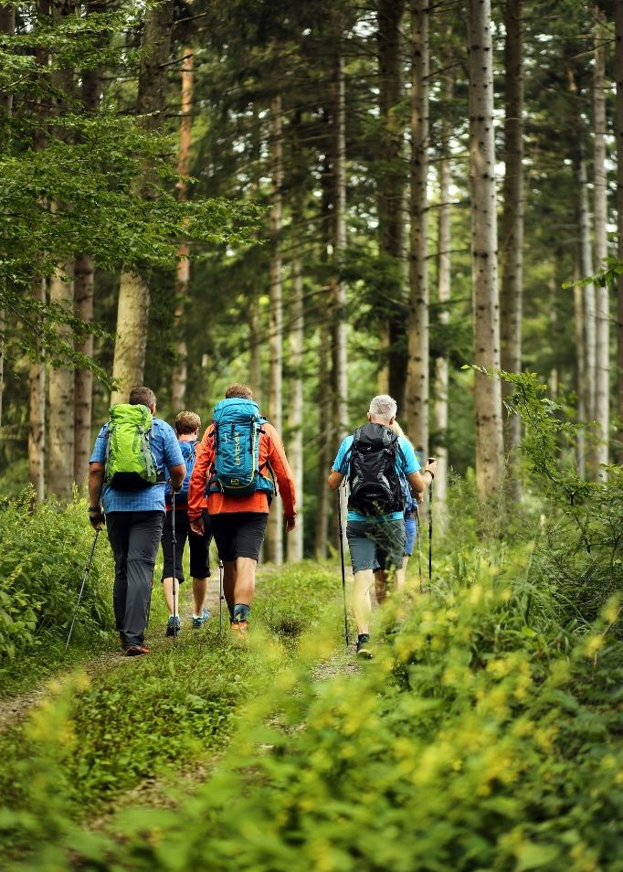 Pielachtaler Rundwanderweg