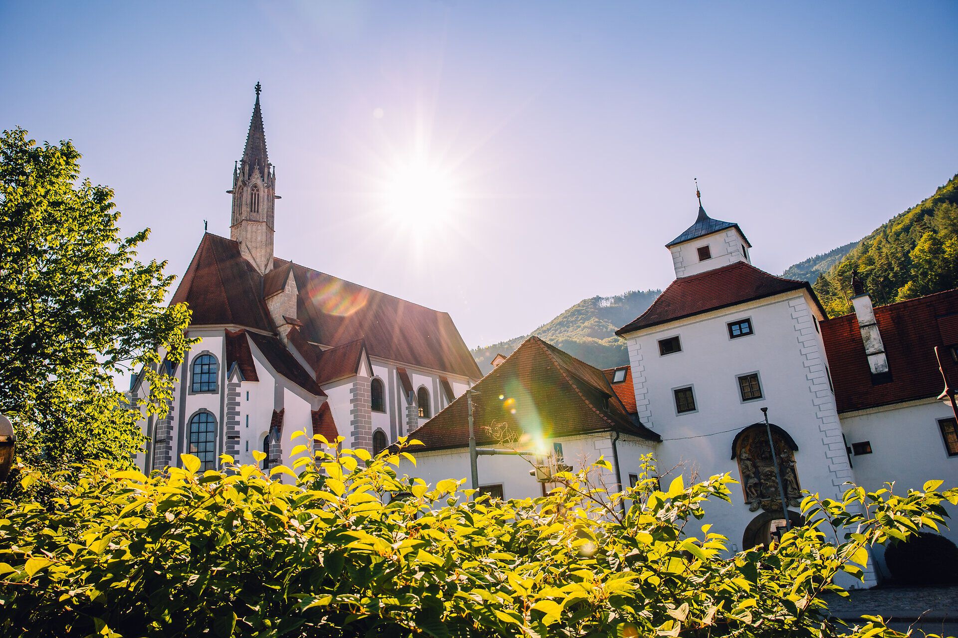 Kartause Gaming mit Klosterkirche und historischen Gebäuden vor der Bergkulisse.