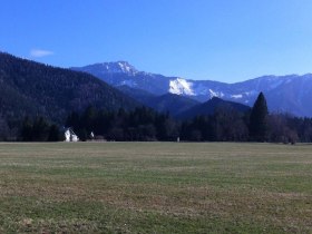 Scheiklh&ouml;he_Rundweg_6_Stengelloser Enzian, &copy; Nordisches Zentrum St. Aegyd