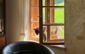 Haustiere sind auf Anfrage gerne Willommen, &copy; Mostviertel Tourismus