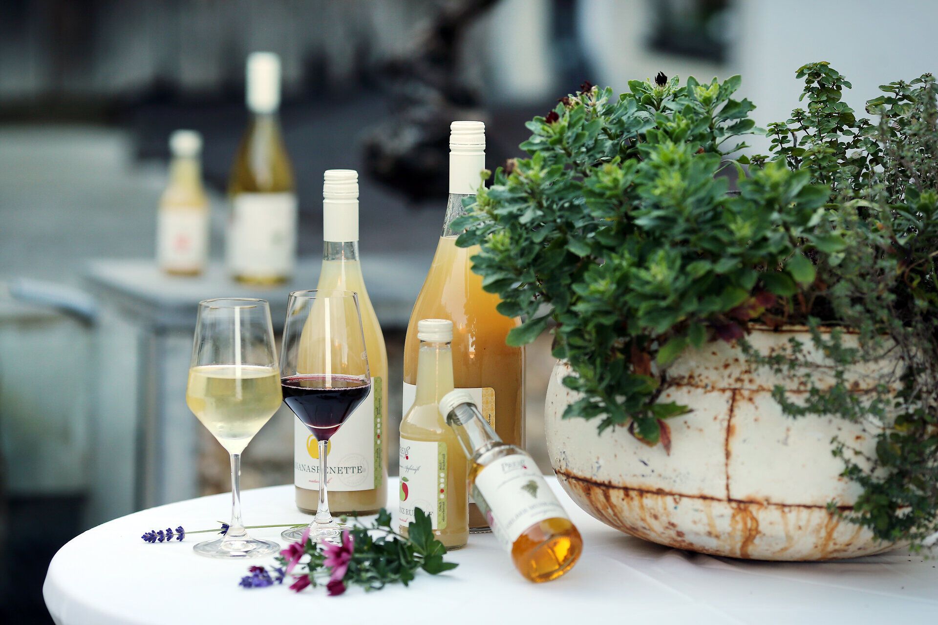 Genießen Sie die erfrischenden Traisentaler Fruchtsäfte, die in einer idyllischen Umgebung präsentiert werden. Umgeben von üppigem Grün und bunten Blumen, laden die köstlichen Getränke dazu ein, die Aromen der Region zu entdecken und sich eine Auszeit zu gönnen.