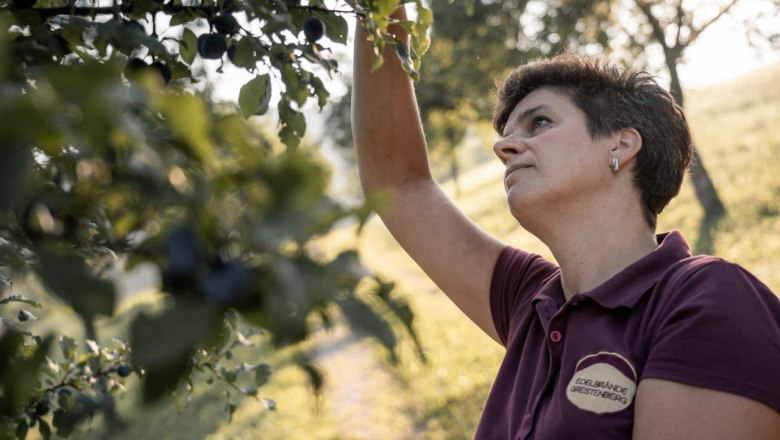 Farm Grestenberg, &copy; Gerald Demolsky