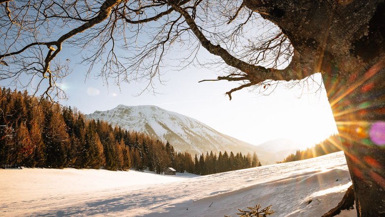 Nestelberg 17 (c)Marlene Schindlegger (1), &copy; Sabine Wieser