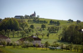 Photo point St. Michael am Bruckbach, © schwarz-koenig.at