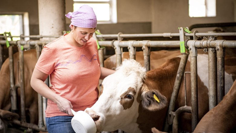 vacation home-lenzau, © Ferienhaus Lenzau