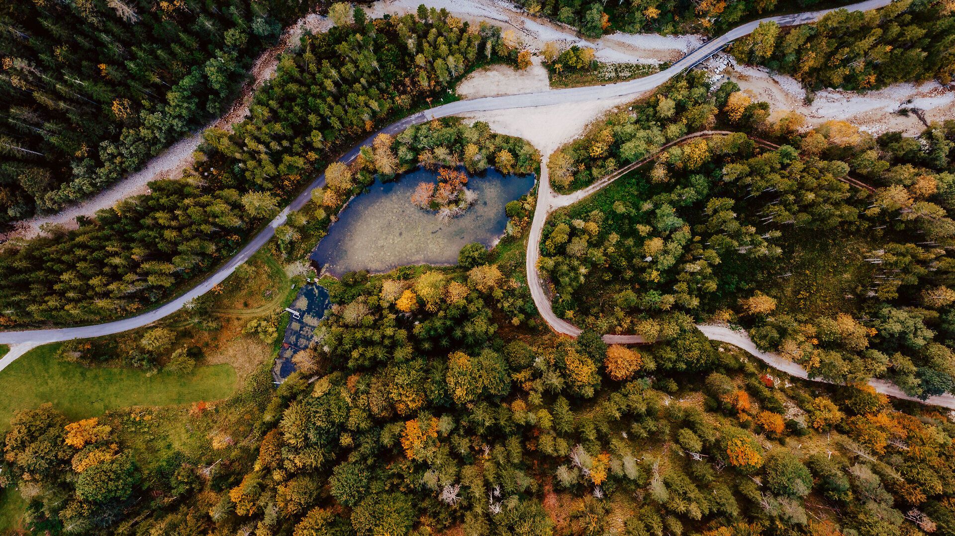 Die bunten Blätter der Rothschildeiche leuchten im warmen Licht des Herbstes und spiegeln sich sanft im klaren Wasser des Steinbachtals. Umgeben von majestätischen Bäumen und sanften Hügeln lädt diese idyllische Landschaft zu einem entspannenden Spaziergang ein, während die frische Luft die Sinne belebt.