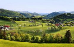 Die sanften Hügel des Pielachtals laden zu erholsamen Wanderungen ein, während die üppigen Wiesen in sattem Grün erstrahlen. Hier, wo die Natur in voller Blüte steht, können Besucher die frische Bergluft genießen und die Ruhe der Landschaft erleben.