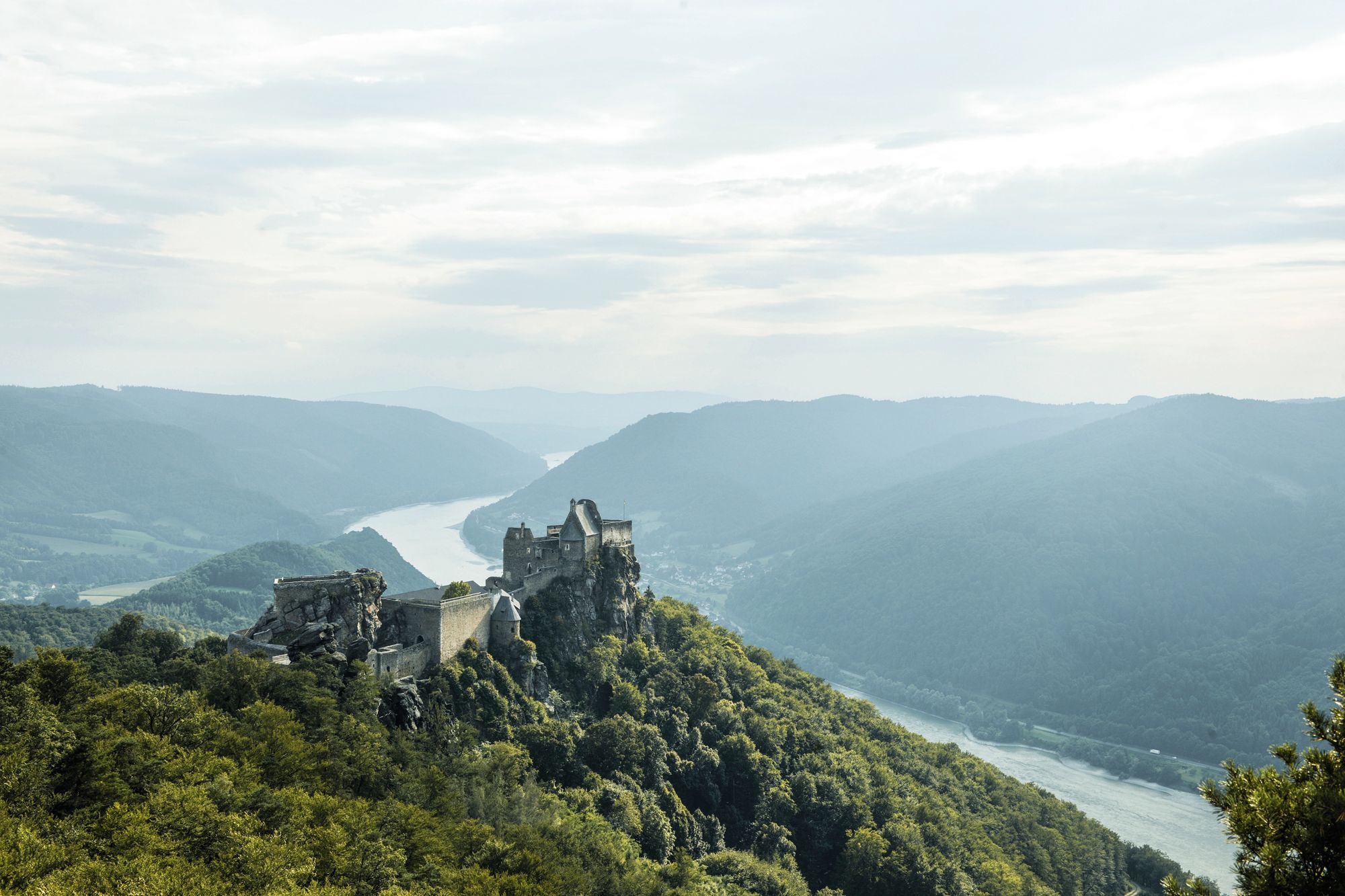 Luftaufnahme der Burgruine Aggstein auf einem bewaldeten Hügel mit Blick auf die Donau und umliegende Berge.
