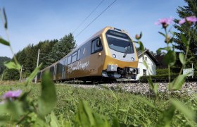 Ein goldener Zug namens Himmelstreppe fährt durch eine grüne Landschaft mit Blumen im Vordergrund.