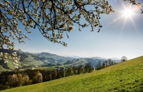Photo point St. Georgen an der Klaus - Church, &copy; schwarz-koenig.at