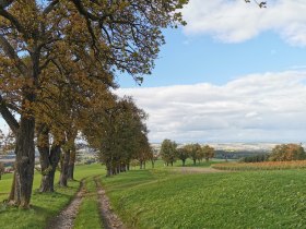 Homokos p&aacute;lya, &copy; Brigitte Hofschwaiger
