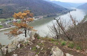 Luftbergweg, &copy; Mostviertel