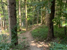 Pyhra Trail, © MTB-Initiative St.Pölten