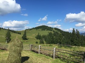 Umgebung St. Aegyd am Neuwalde, &copy; Riedler