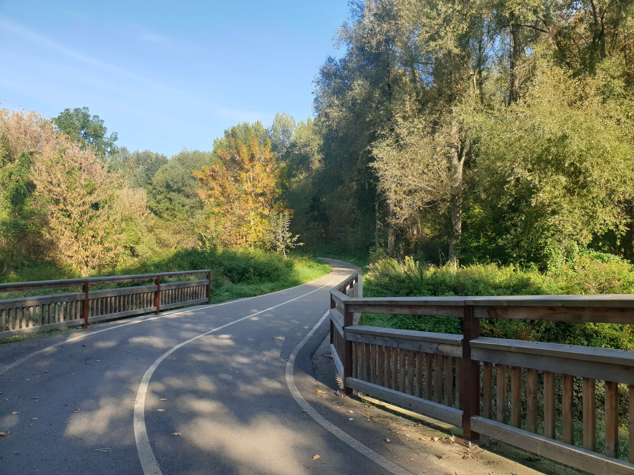 Ein Radweg führt über eine Holzbrücke in einem bewaldeten Gebiet bei Zwentendorf.