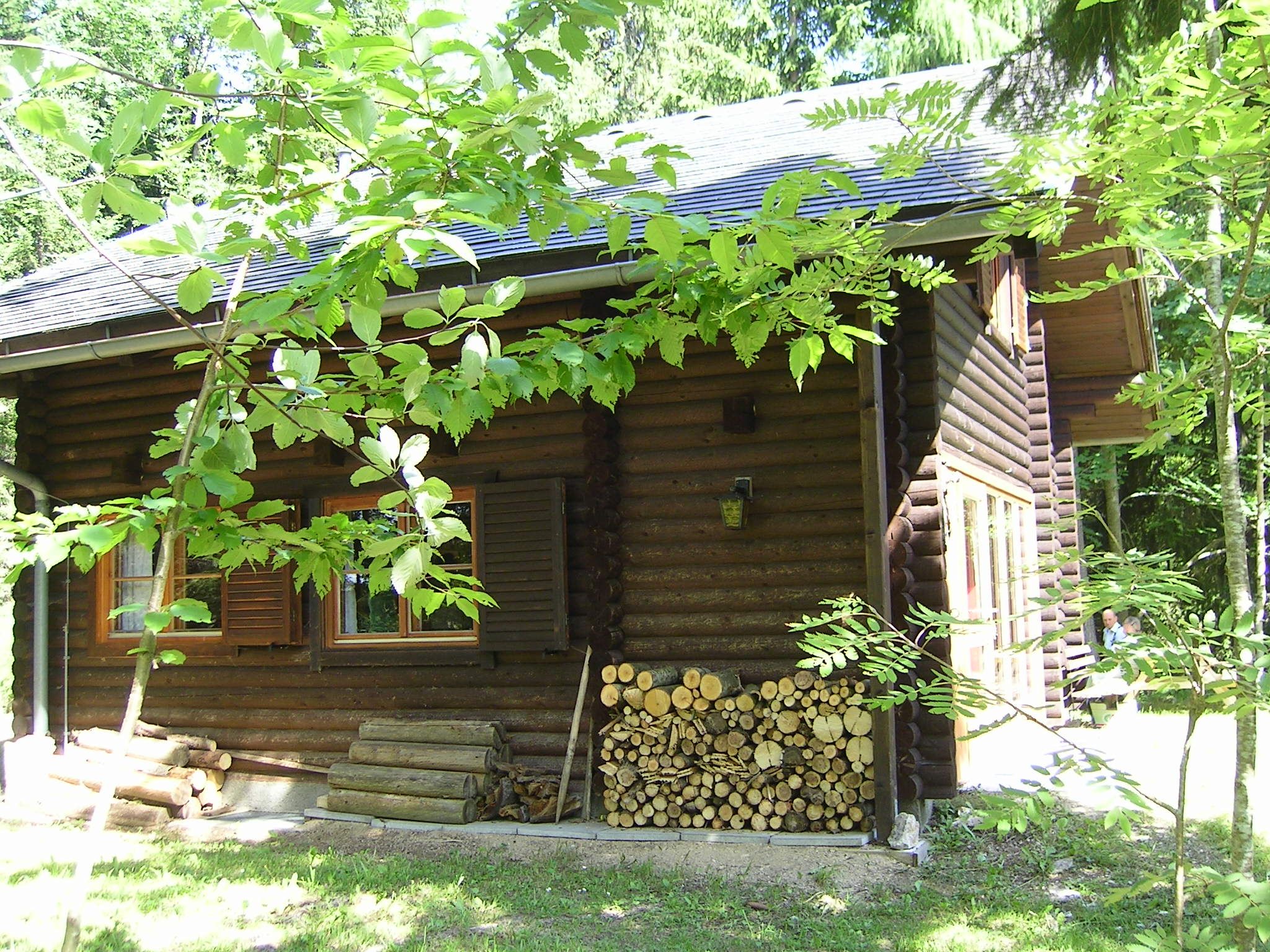 Blockhütte im Wald mit Holzstapel und grünen Blättern im Vordergrund.