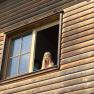 Window peepers at the Kirchau vacation farm, © Ferienhof Kirchau