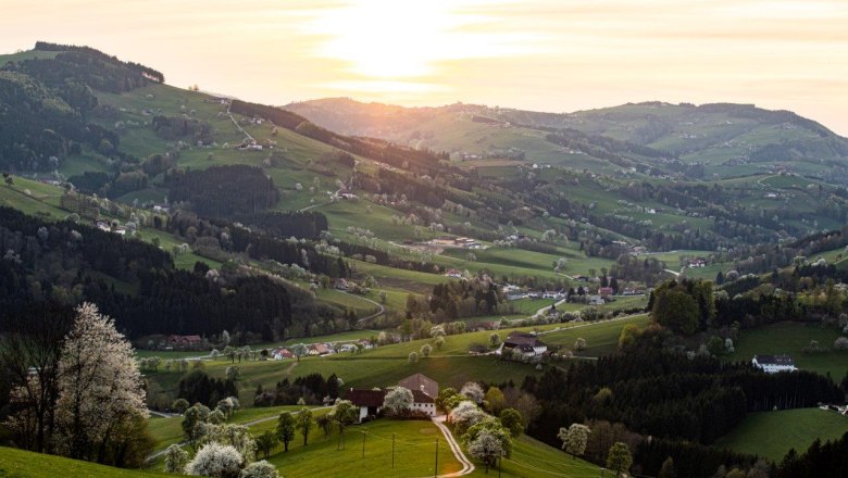 Photo point St. Peter in der Au, &copy; schwarz-koenig.at