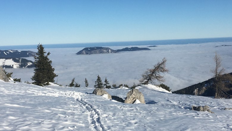 Winter in the Ybbstal Alps, © Monika Stock